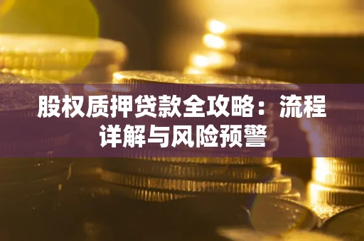北京股权质押贷款全攻略：流程详解与风险预警