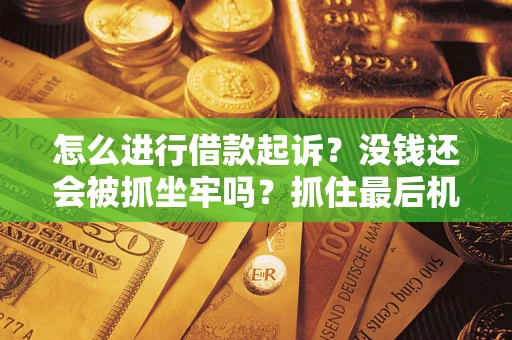 北京怎么进行借款起诉？没钱还会被抓坐牢吗？抓住最后机会！