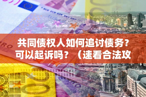 北京共同债权人如何追讨债务？可以起诉吗？（速看合法攻略）