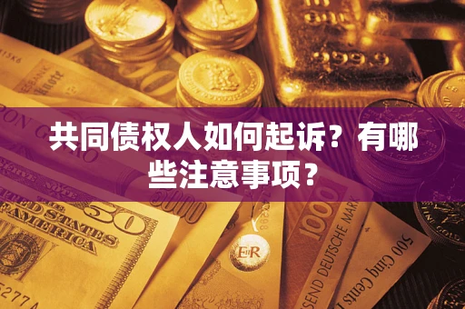 北京共同债权人如何起诉？有哪些注意事项？